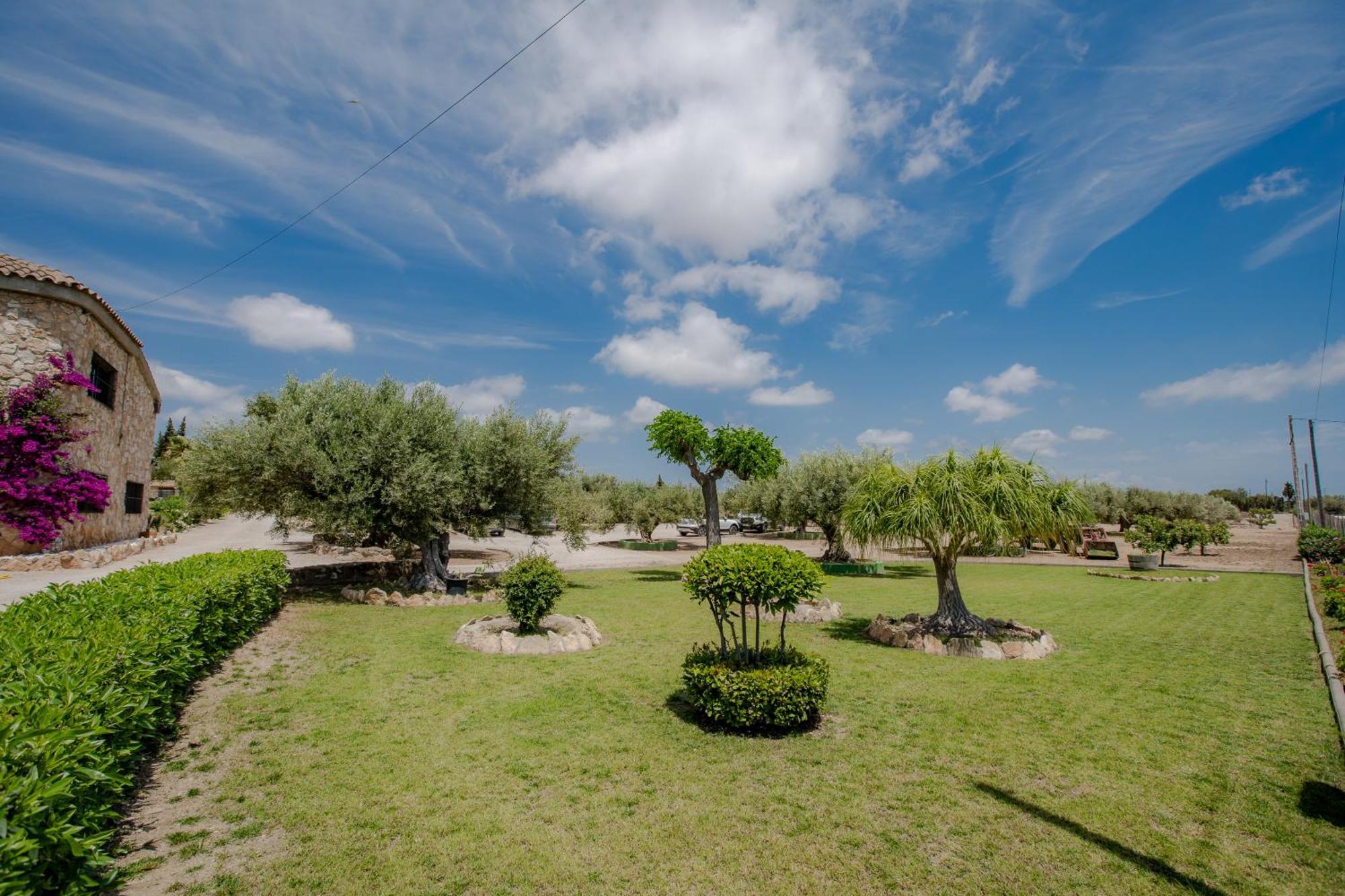 Villa Rural Avril Camarles Extérieur photo